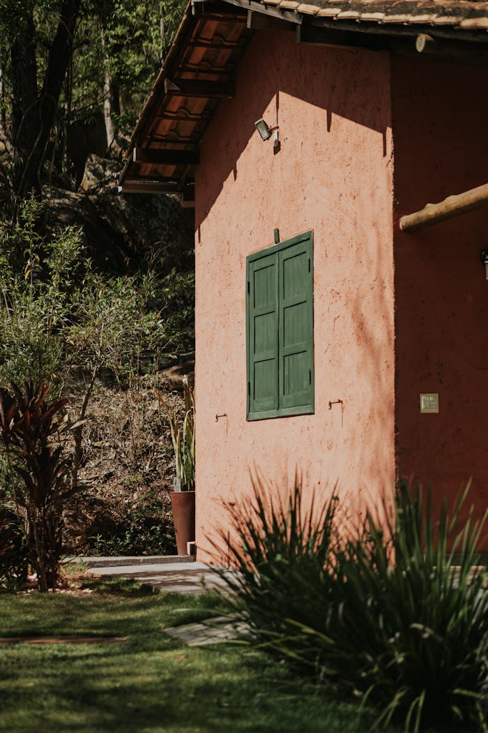 Rustic house with green window under sunlight surrounded by lush greenery in a tranquil outdoors setting.